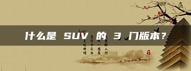 什么是 SUV 的 3 门版本？