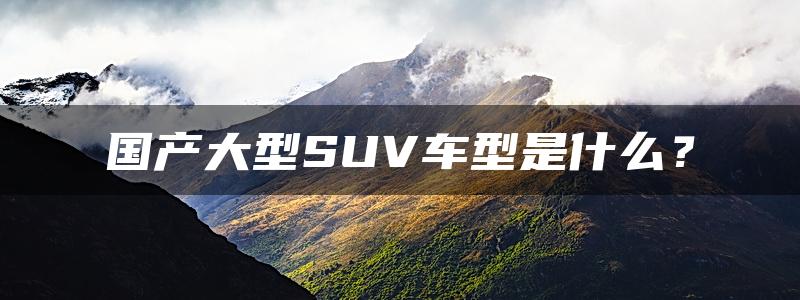 国产大型SUV车型是什么？