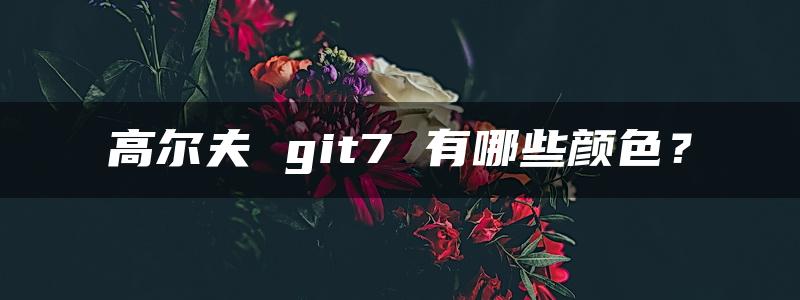 高尔夫 git7 有哪些颜色？