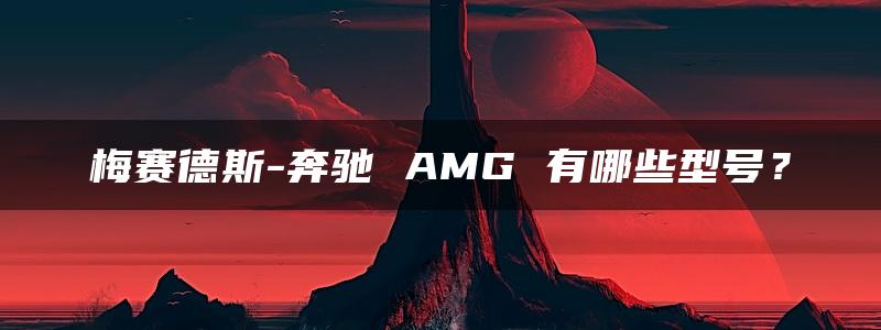 梅赛德斯-奔驰 AMG 有哪些型号？