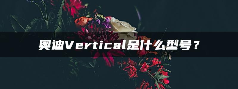 奥迪Vertical是什么型号？