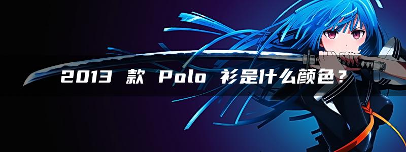 2013 款 Polo 衫是什么颜色？