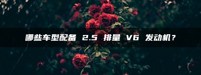 哪些车型配备 2.5 排量 V6 发动机？