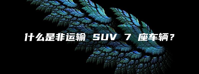 什么是非运输 SUV 7 座车辆？