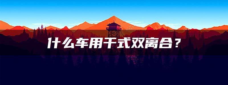 什么车用干式双离合？