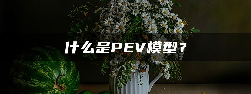 什么是PEV模型？