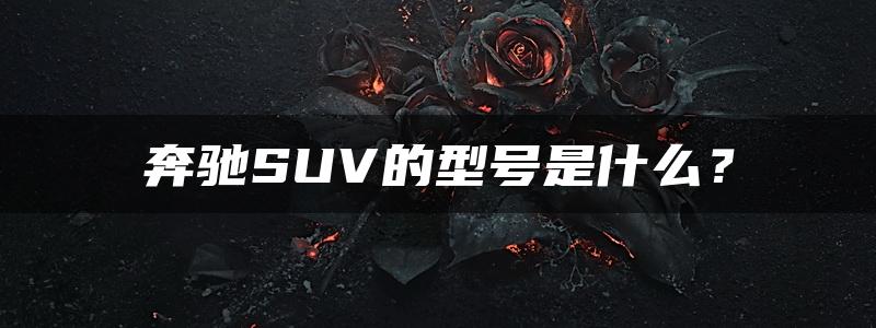 奔驰SUV的型号是什么？