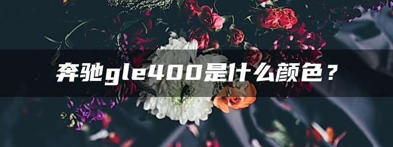 奔驰gle400是什么颜色？