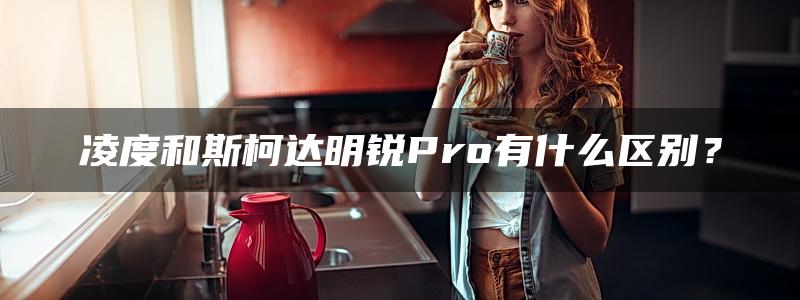 凌度和斯柯达明锐Pro有什么区别？