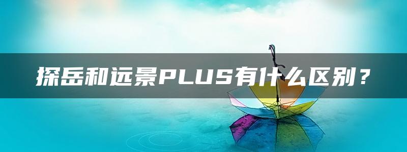 探岳和远景PLUS有什么区别？