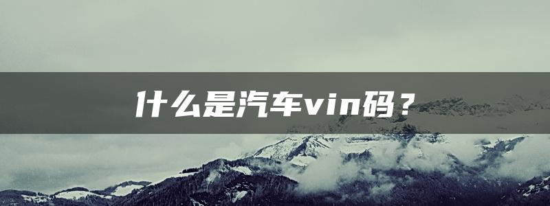 什么是汽车vin码？