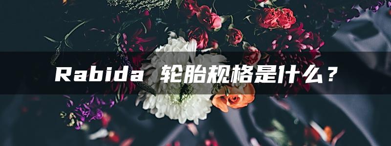 Rabida 轮胎规格是什么？