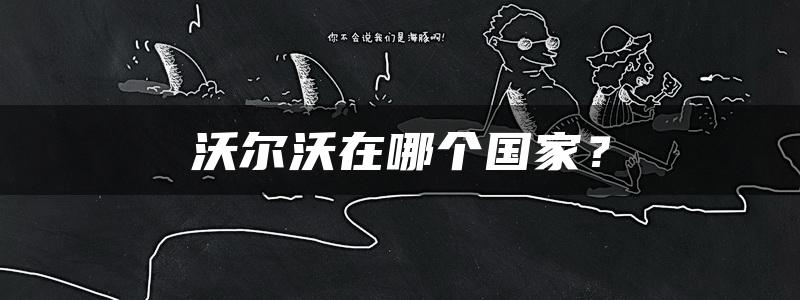 沃尔沃在哪个国家？