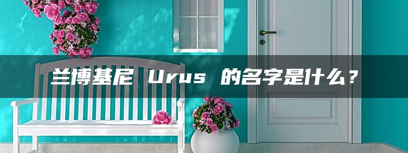 兰博基尼 Urus 的名字是什么？