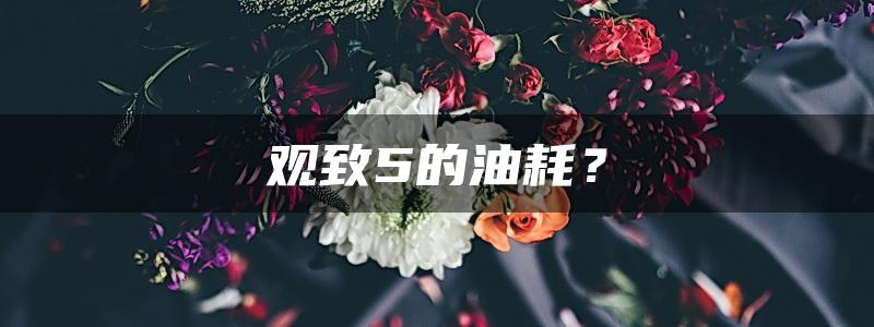 观致5的油耗？