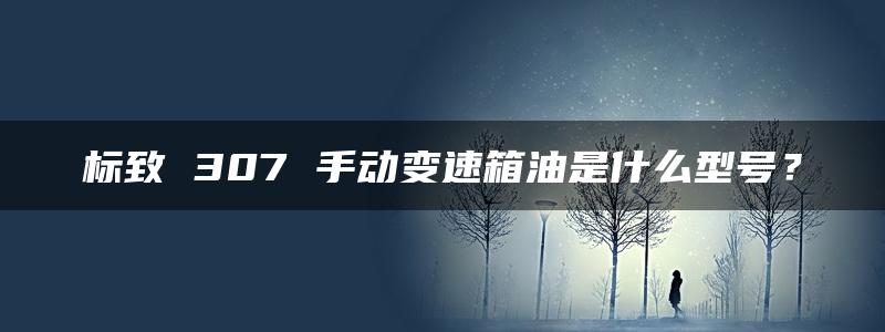 标致 307 手动变速箱油是什么型号？