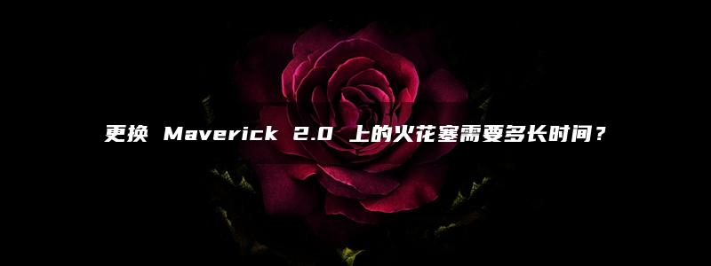 更换 Maverick 2.0 上的火花塞需要多长时间？