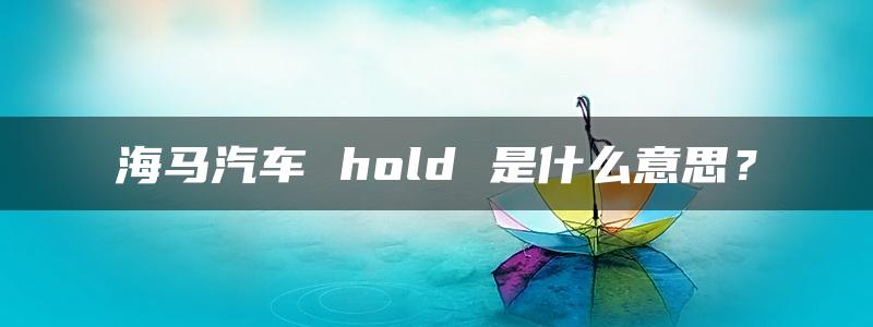 海马汽车 hold 是什么意思？