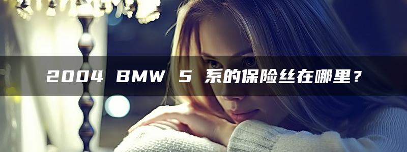 2004 BMW 5 系的保险丝在哪里？