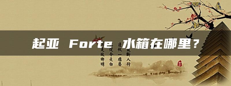 起亚 Forte 水箱在哪里？