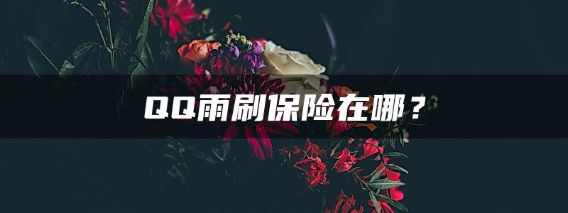 QQ雨刷保险在哪？