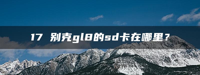 17 别克gl8的sd卡在哪里？