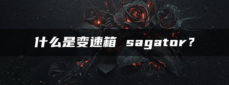 什么是变速箱 sagator？