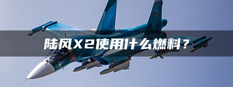 陆风X2使用什么燃料？