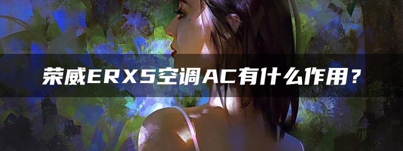 荣威ERX5空调AC有什么作用？