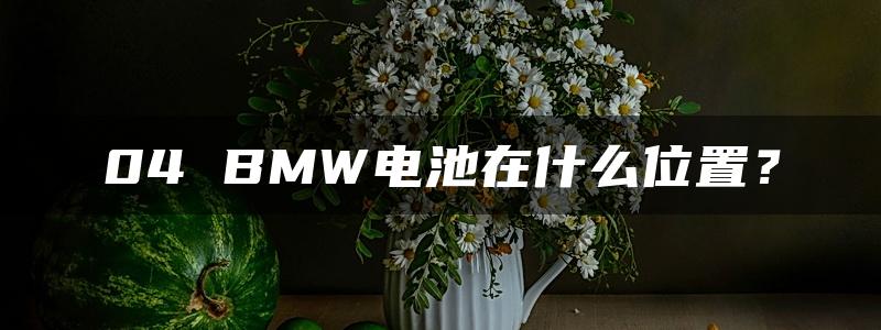 04 BMW电池在什么位置？