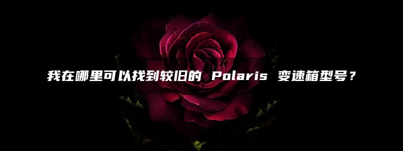 我在哪里可以找到较旧的 Polaris 变速箱型号？