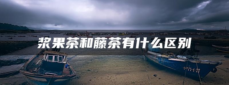 浆果茶和藤茶有什么区别