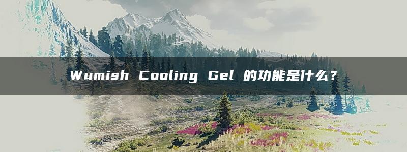 Wumish Cooling Gel 的功能是什么？