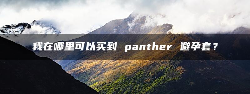 我在哪里可以买到 panther 避孕套？