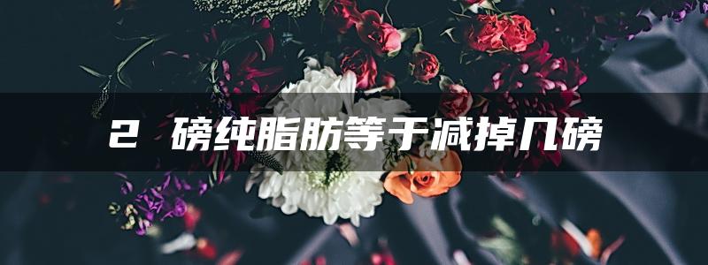 2 磅纯脂肪等于减掉几磅