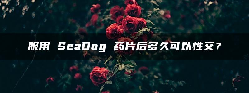 服用 SeaDog 药片后多久可以性交？