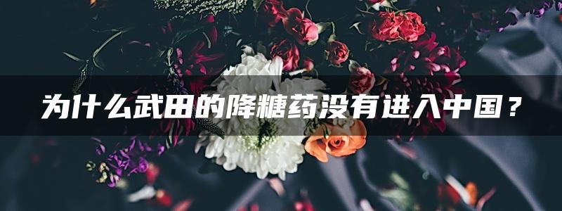 为什么武田的降糖药没有进入中国？