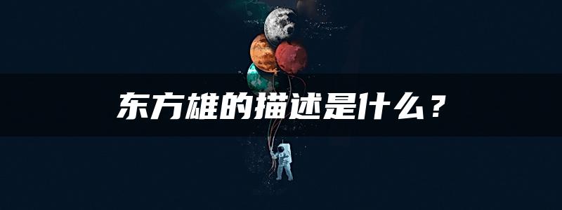 东方雄的描述是什么？