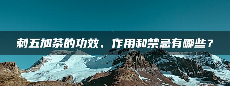 刺五加茶的功效、作用和禁忌有哪些？