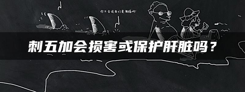 刺五加会损害或保护肝脏吗？