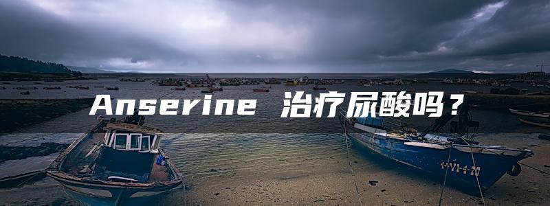 Anserine 治疗尿酸吗？