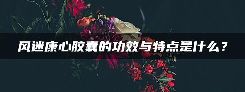 风迷康心胶囊的功效与特点是什么？