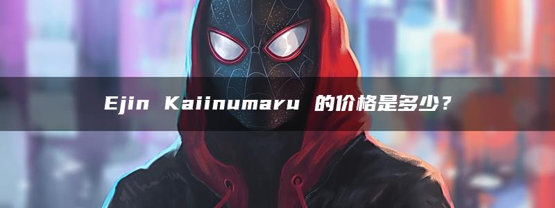 Ejin Kaiinumaru 的价格是多少？