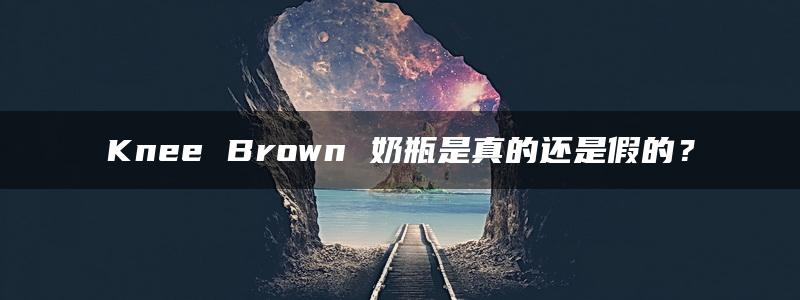 Knee Brown 奶瓶是真的还是假的？