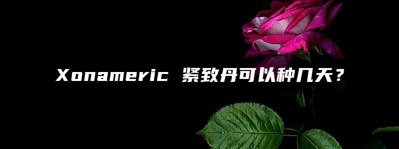 Xonameric 紧致丹可以种几天？