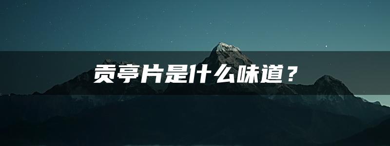 贡亭片是什么味道？