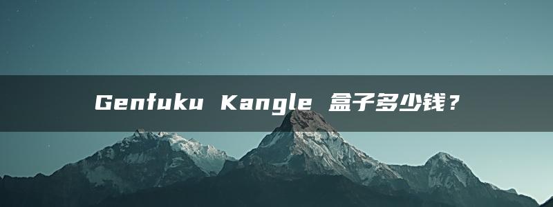 Genfuku Kangle 盒子多少钱？