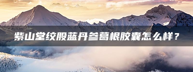 紫山堂绞股蓝丹参葛根胶囊怎么样？