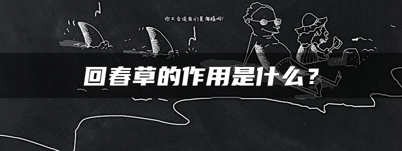 回春草的作用是什么？