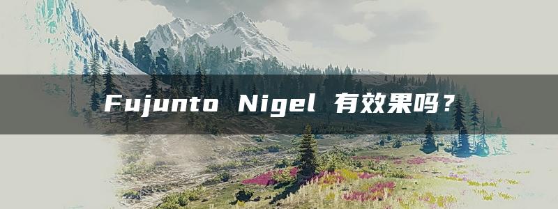 Fujunto Nigel 有效果吗？